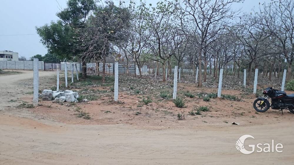 agricultural land for sale