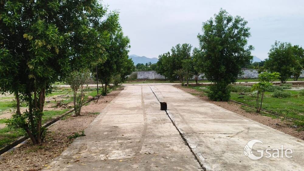 Plots for sale Vengalayapalem , Nallapadu , Guntur , Employees Colony 