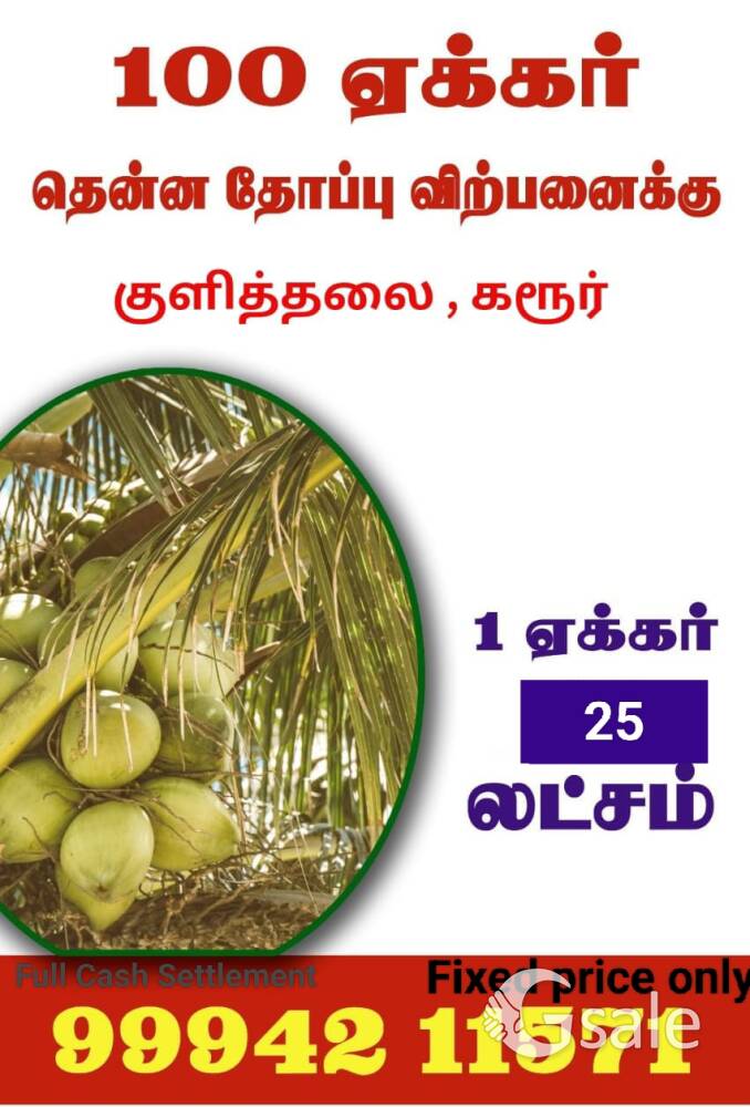 93 Acres DJ Coconut farm sale