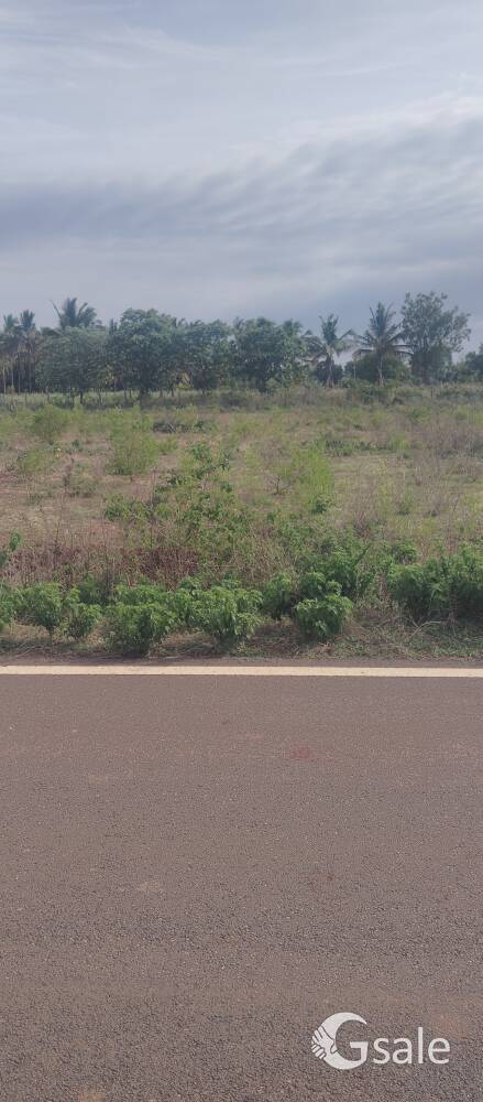 agriculture land 
