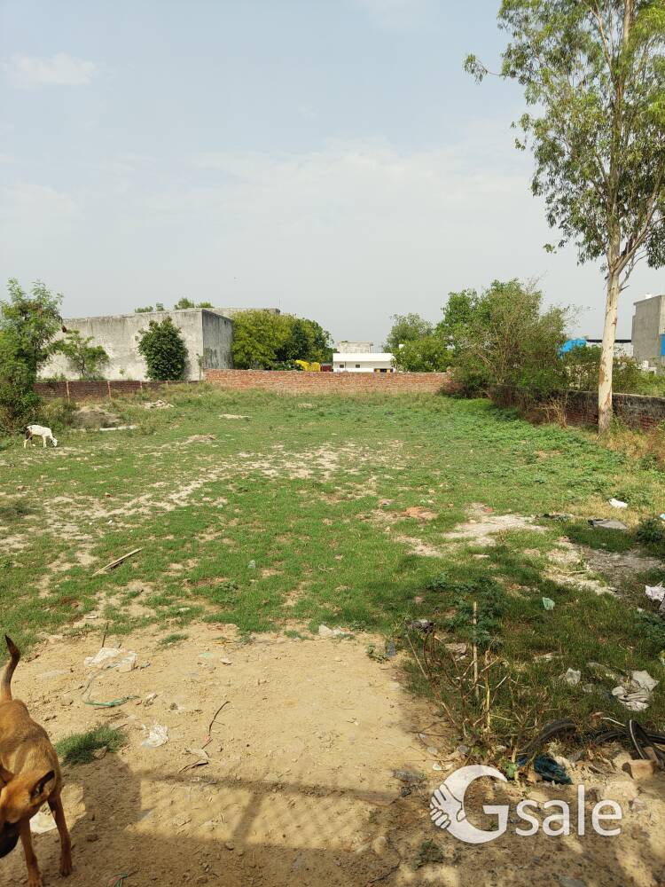 FARM HOUSE / FACTORY TYPE/ GAUSHALA TYPE PROPERTY 