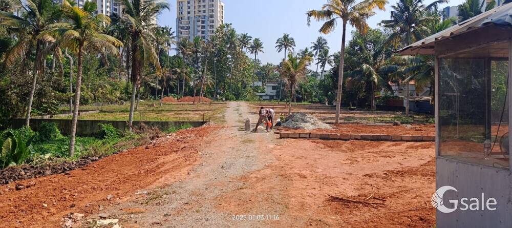 Dhan thrippadha