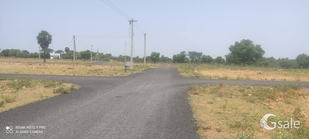 Trichy plots 