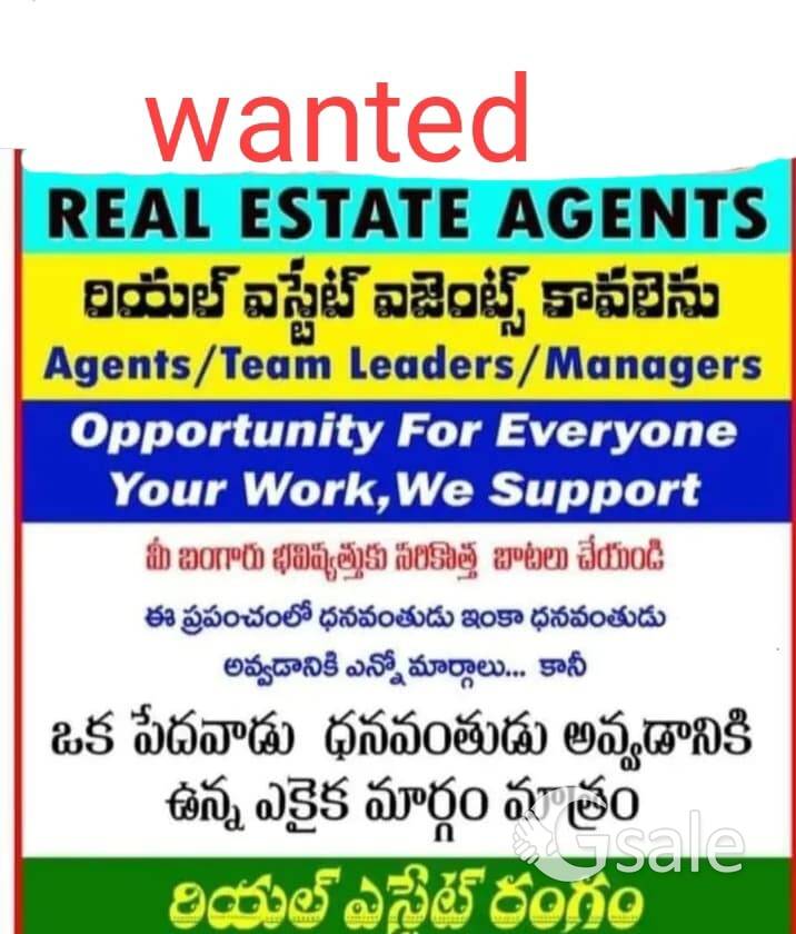 business opportunity for buiding your career