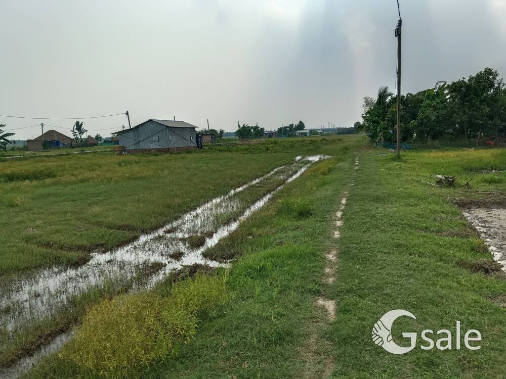 বারুইপুর পিয়ালী জমি বিক্রয় কেন্দ্র 