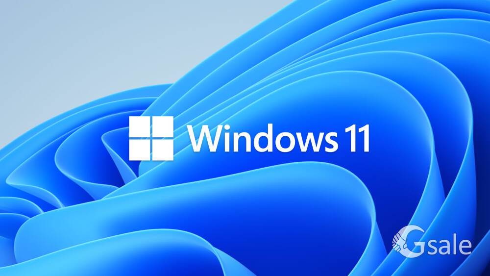 Windows 11, 10, 8, 7 and MS Office 