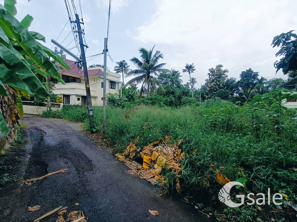 6&10,17 Cent Aluva Companipady House Plot Tar Road Frontage Near. Bus Stop 650 Mtr. 