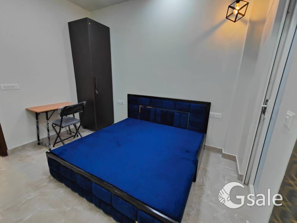 girls pg available in Karol bagh 