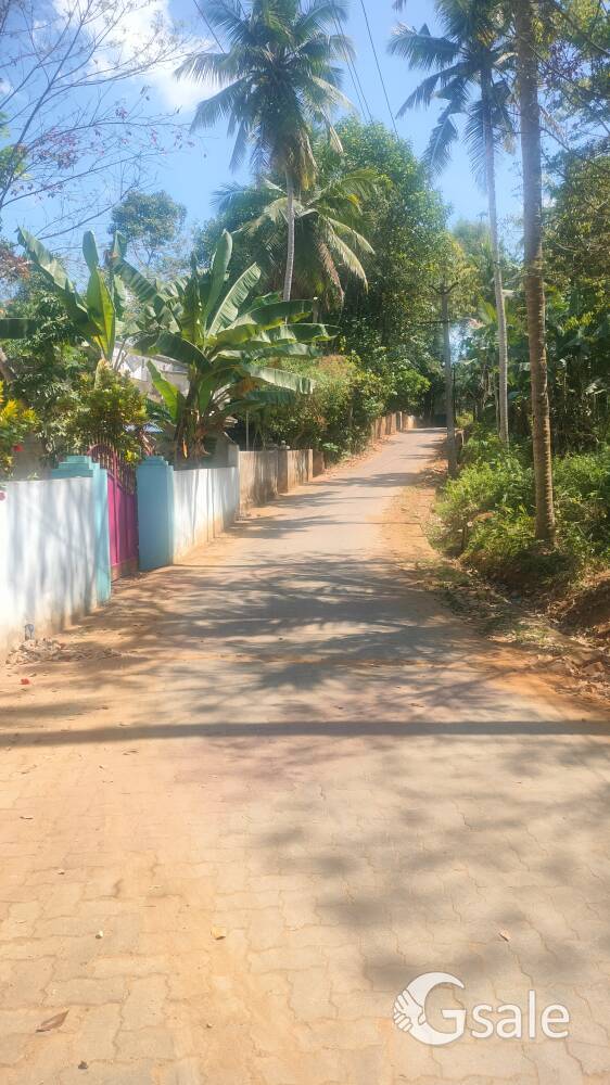 Land for sale 