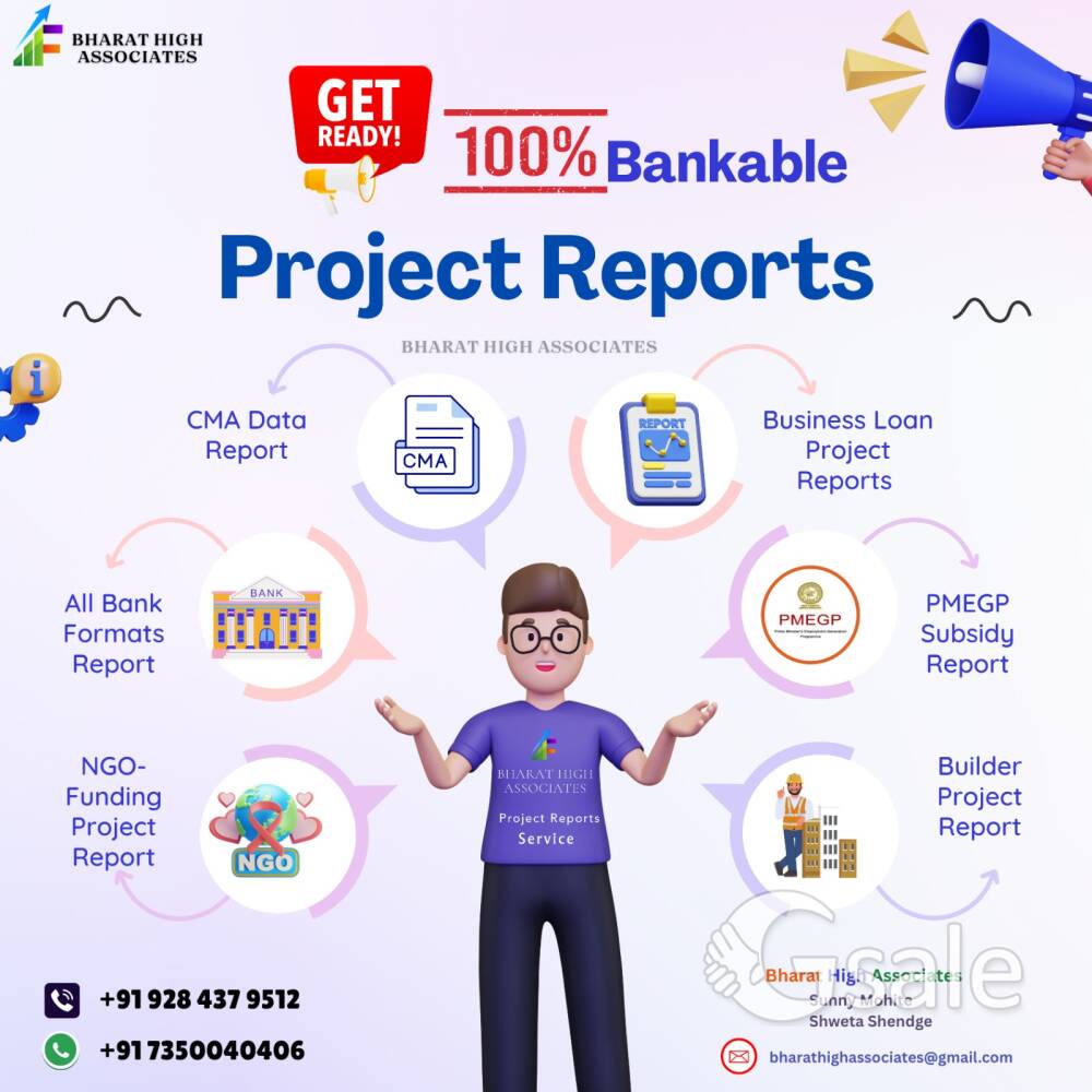 Professional Business Loan Project Report – Fast & Affordable