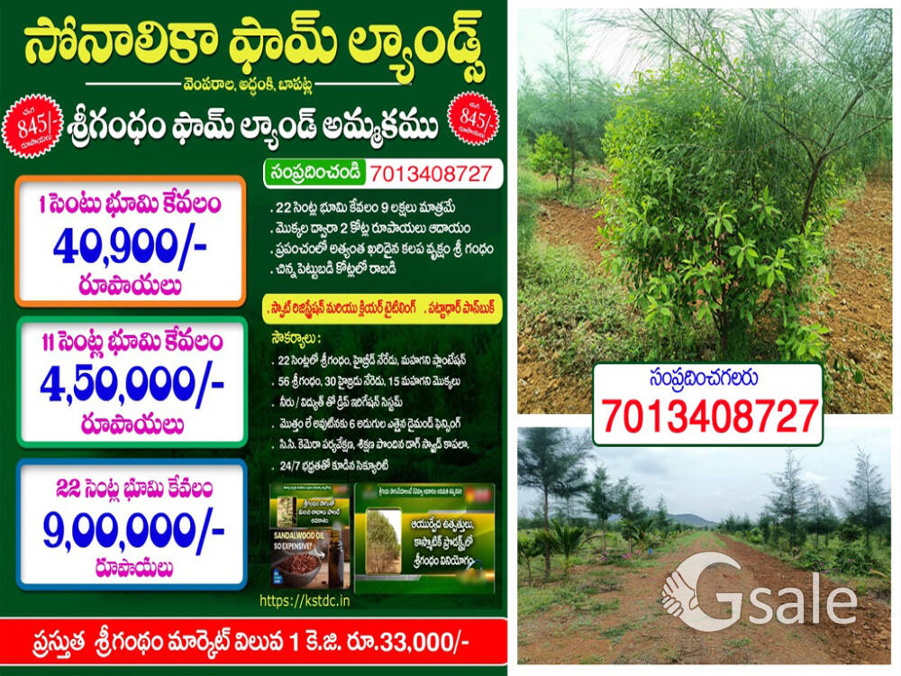 22 Cents 9 Lakhs - 30 Acres of Agricultural Land with Sandalwood, Hybrid Jamun, and Mahogany Trees 
