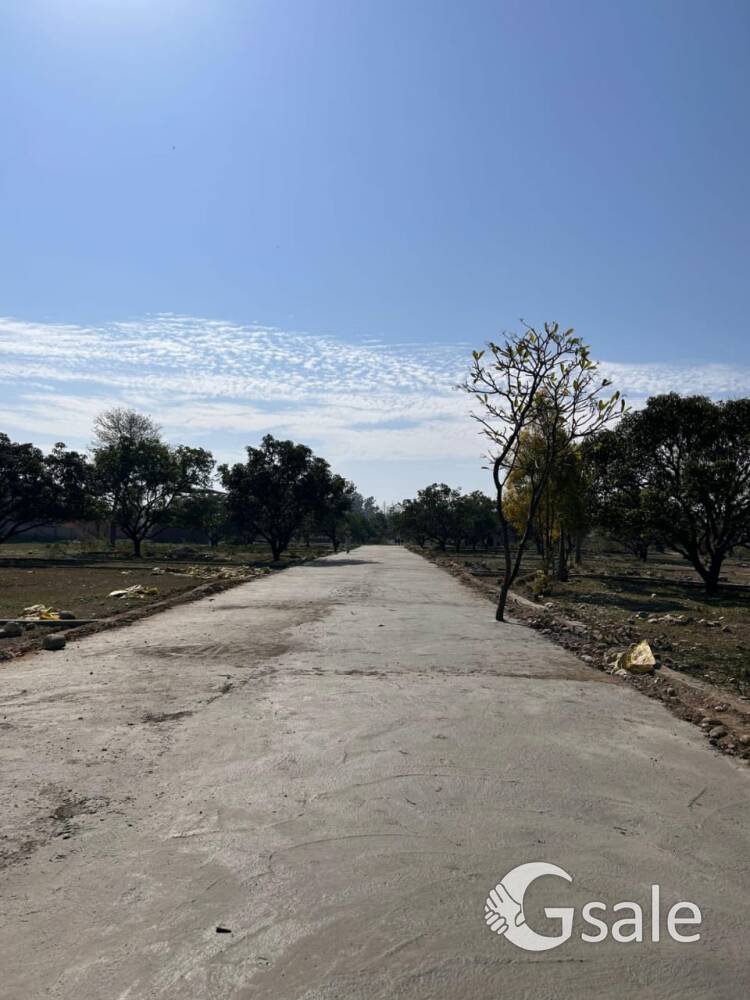Residential Plot