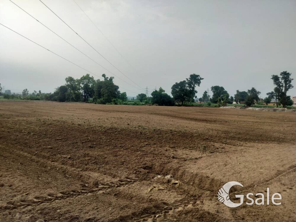 Plots for Sale in Dharmawala, near Dehradun Chandigarh Expressway.
