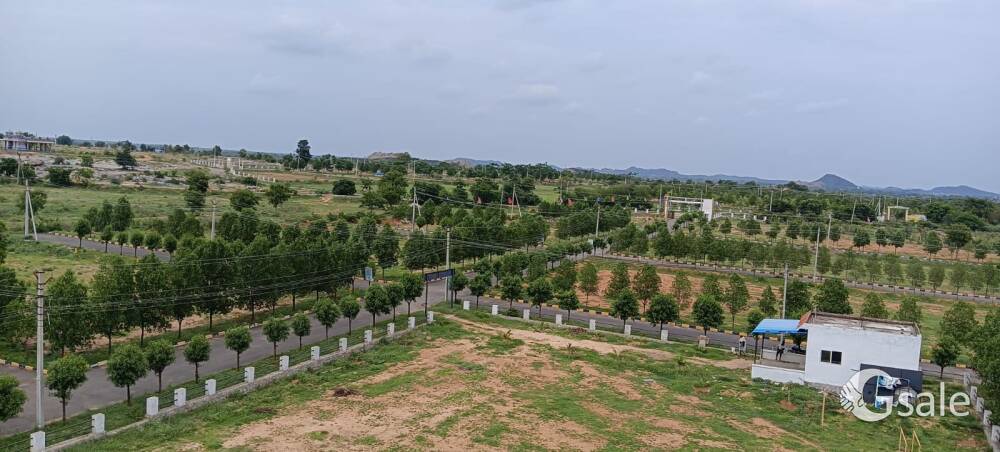 PHARMA GREEN CITY