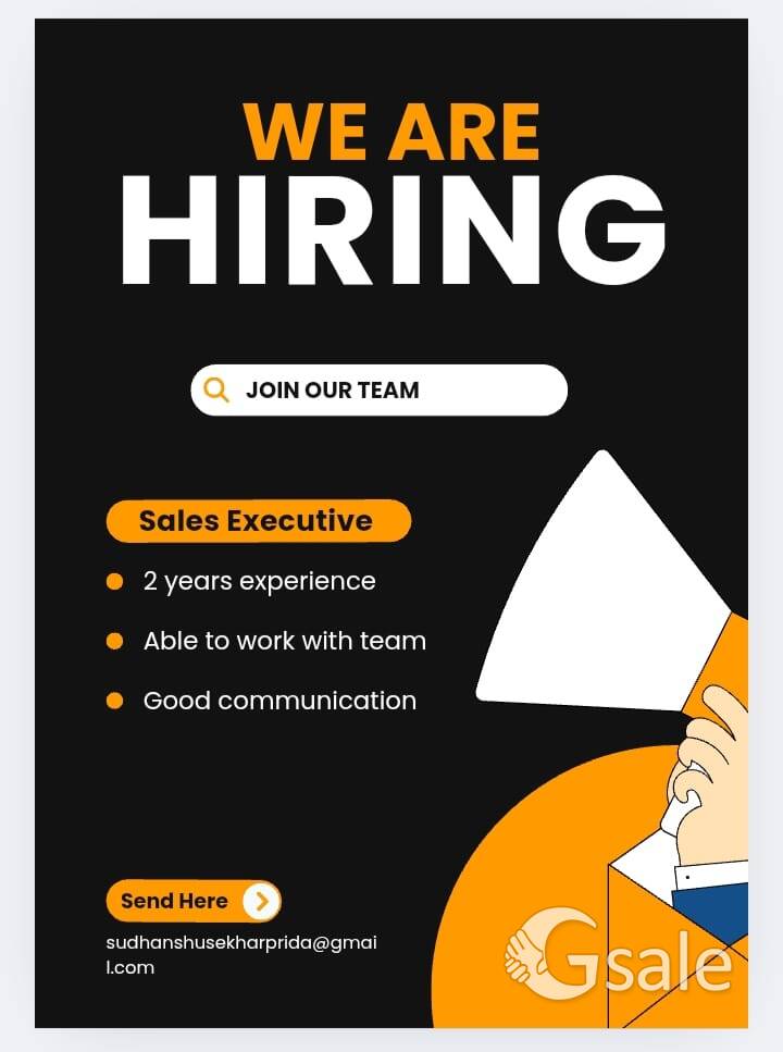Sales Executive 