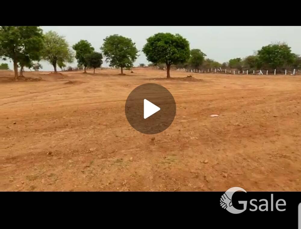 My own Agriculture land for sale near RRR Jagdevpur