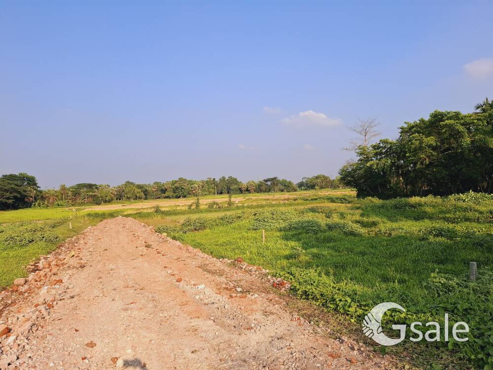 Welcome to Green Pearl City – Your Green Paradise Near Joka Metro!