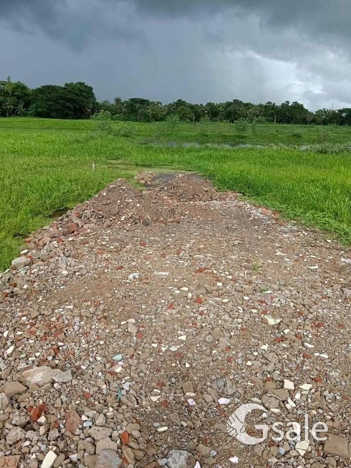 image 13