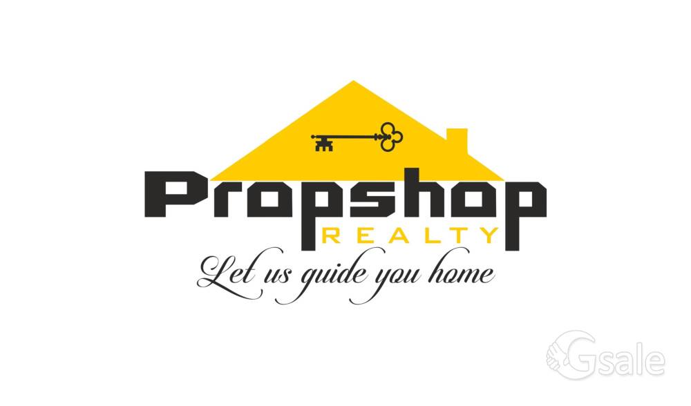 Sales Executive 