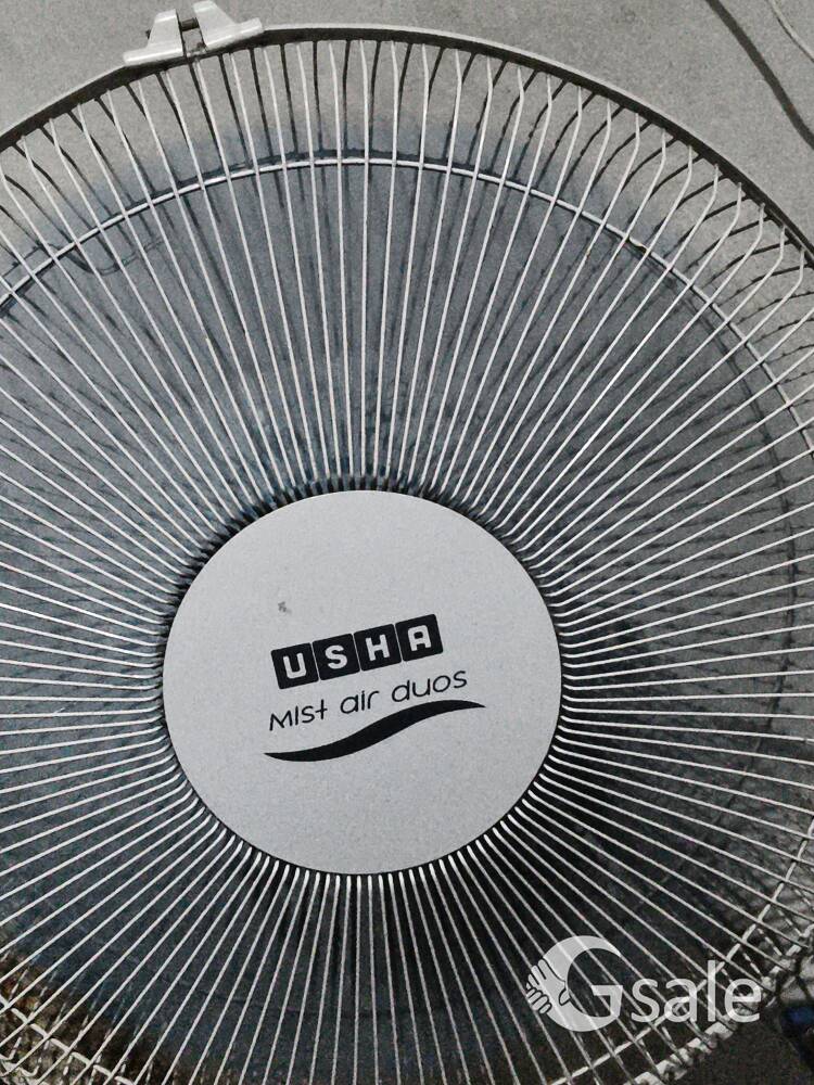 fan new modal 