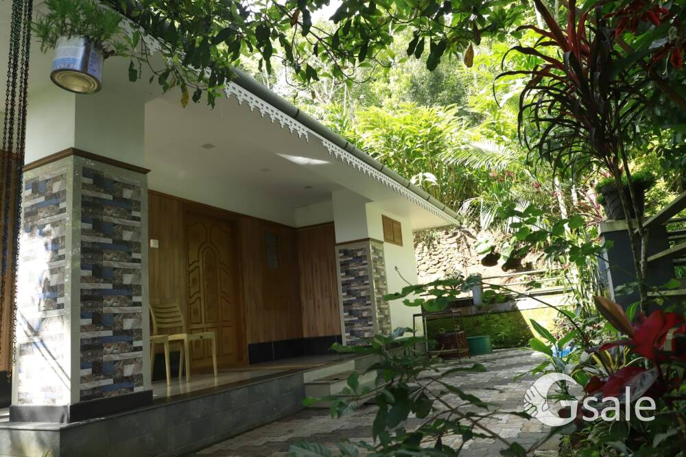 ആനച്ചാൽ eettisitti