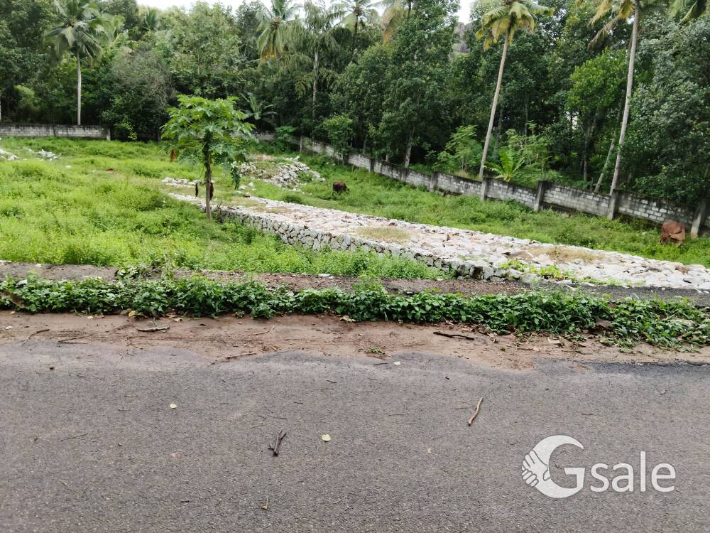 50 cent land sale
