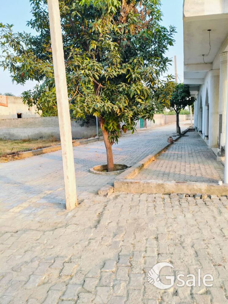 green residensy society🏠