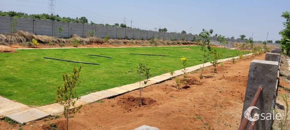 OPEN PLOTS FOR SALES
