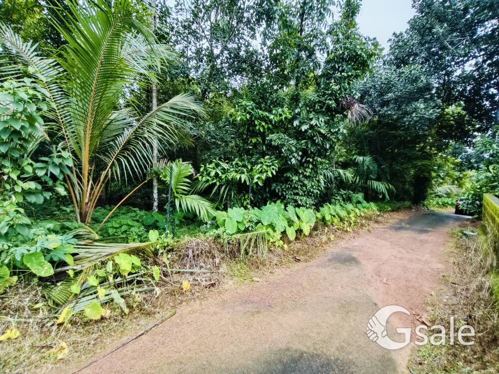 45 Cent Nedumbassery Chengamanad Tar Road Frontage 