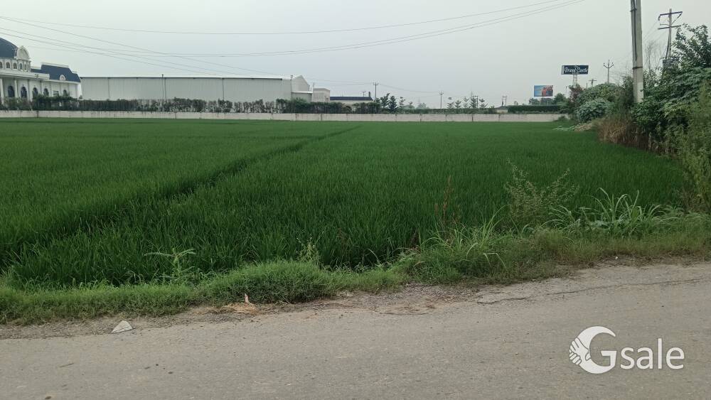 25 ACER LAND FOR SALE ON HIGHWAY 1.5 ACER FRONT MAMOPUR NEAR CHANDIGARH UNIVERSITY KHARAR