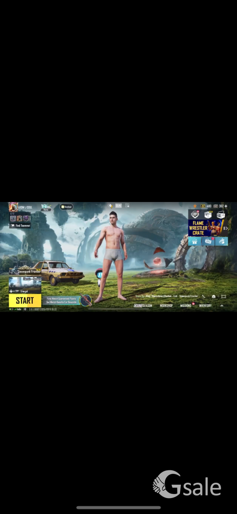 Personal bgmi id