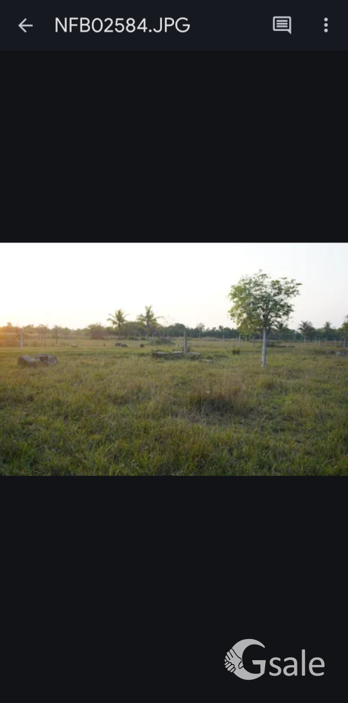 Urgent plot sale at GST neelamangalam