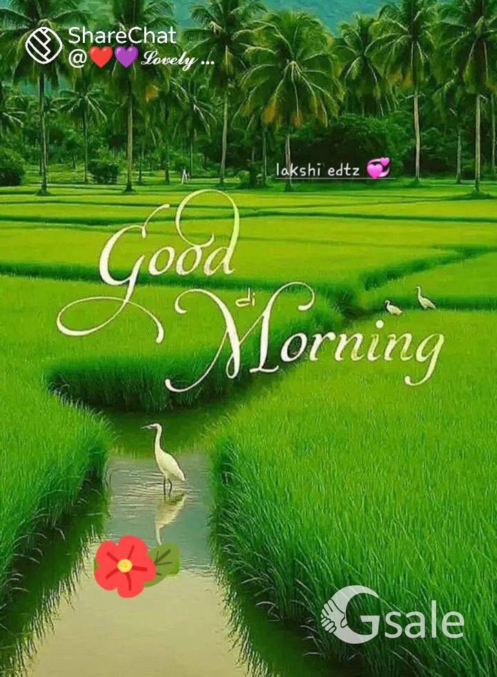 AGRICULTURE LAND REQUIRED BELOW 5 LAKHS WITH BORE OR WELL WITH WATER INLY FRIM OWNERS FRIM TAMILNADU
