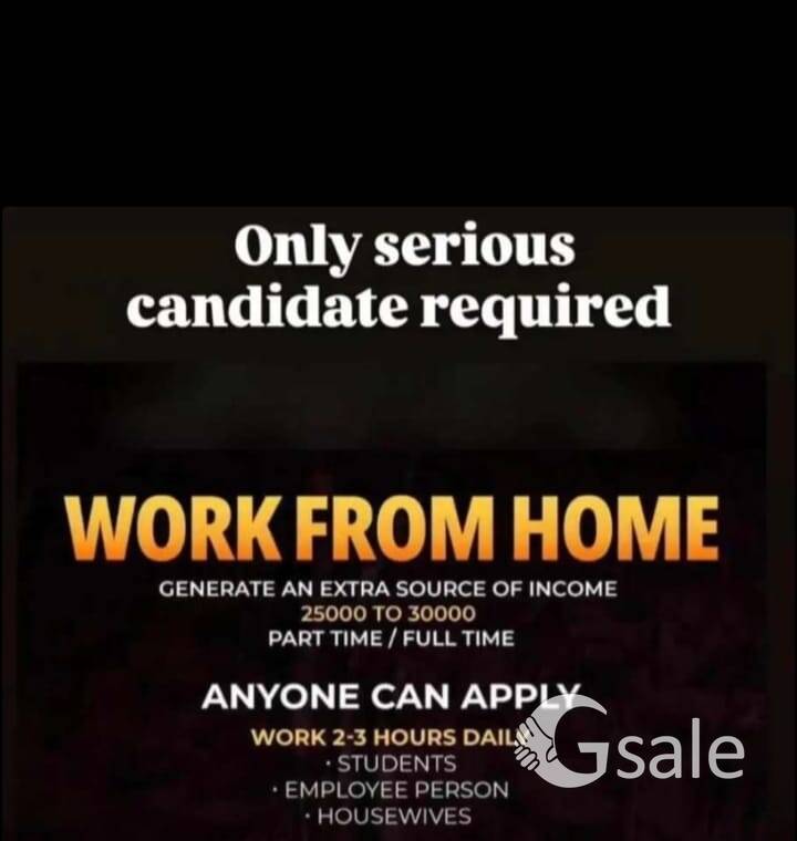 Work from home job