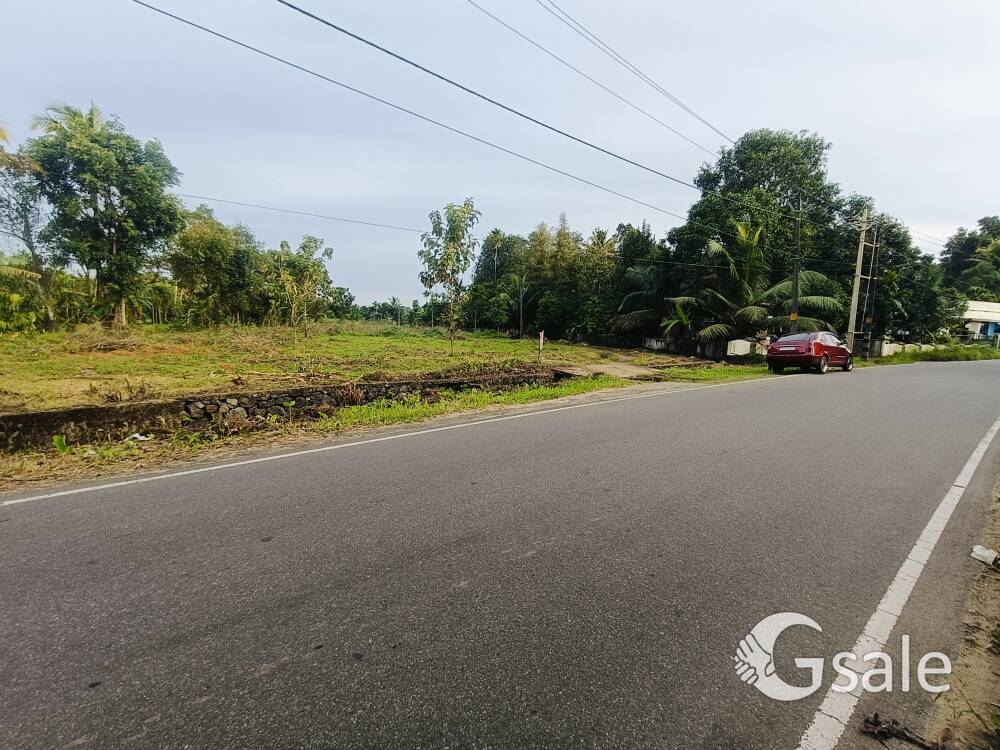 15 To 30 Cent Kuruppumpady Bus Route Frontage Land