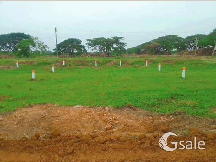 prime property s గన్నవరం 