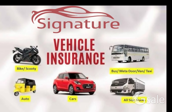 signature motor insurance 