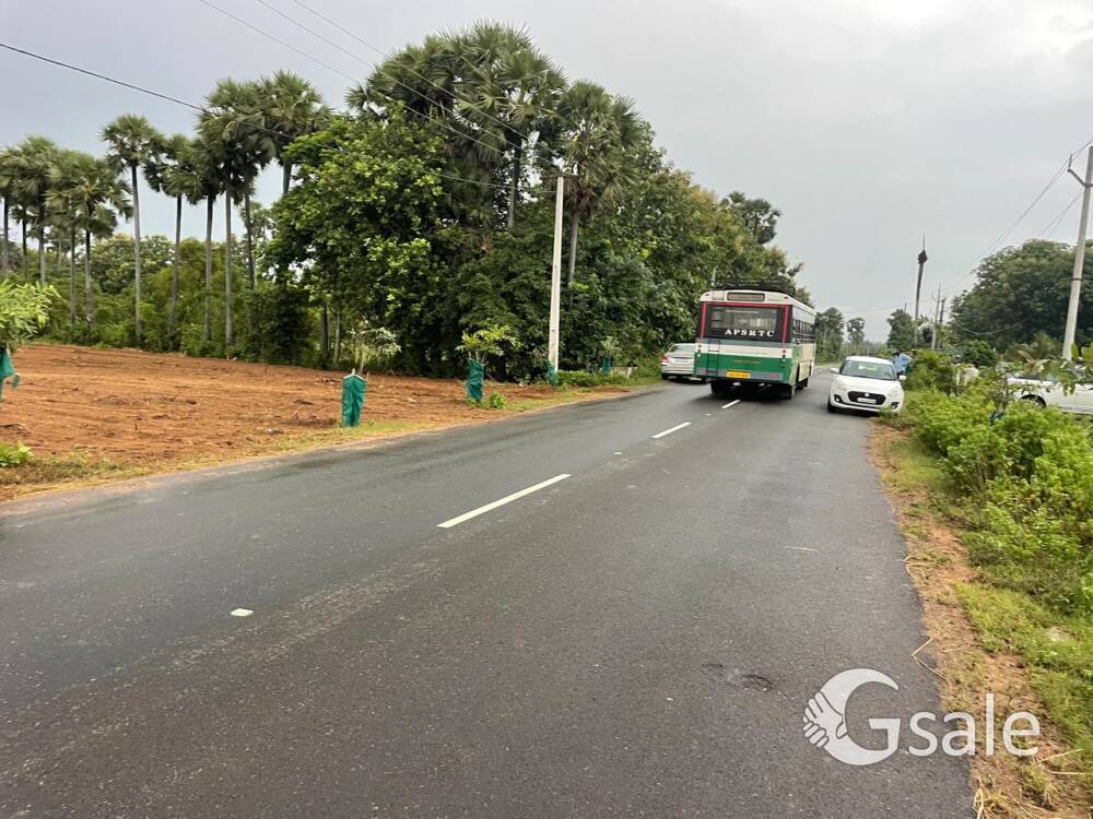 main road facing venture