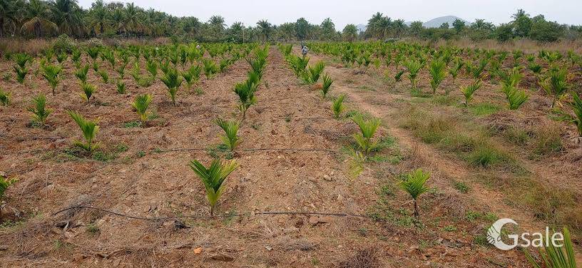 1 Acer Land for Sale at Dandeli tourism area Suitable for Resort Homestay.