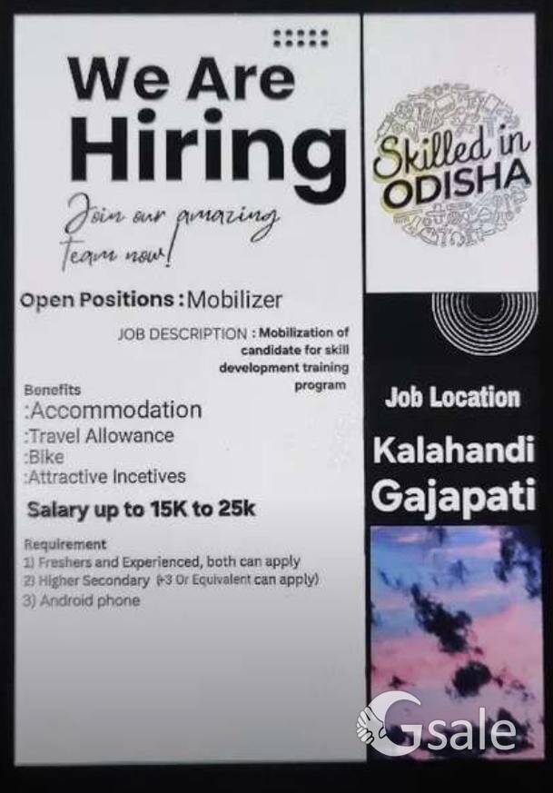Sales Executive