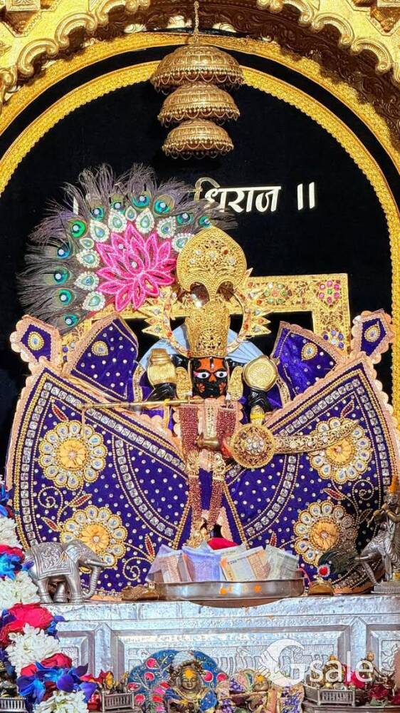प्लाट साइज 15*40,*20*40,25*40,25*50,