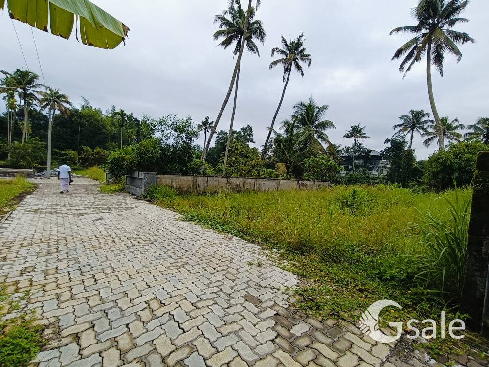 5 Cent Aluva Malikampeedika House Plot Near Bus Stop 300 Mtr. Only Aluva Paravoor Route 