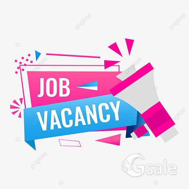 tele calling, office assistant, team leader, documents handling 