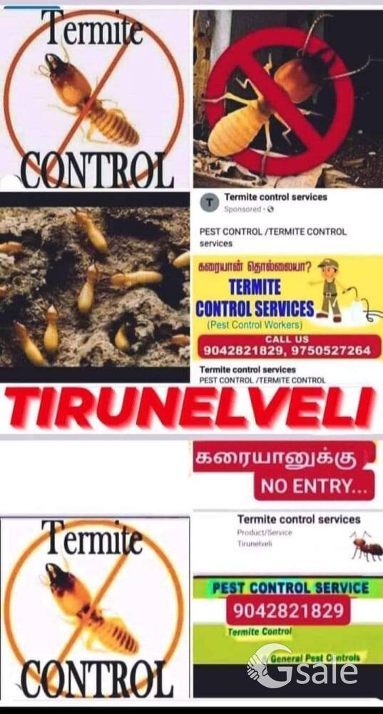 TERMITE CONTROL SERVICES