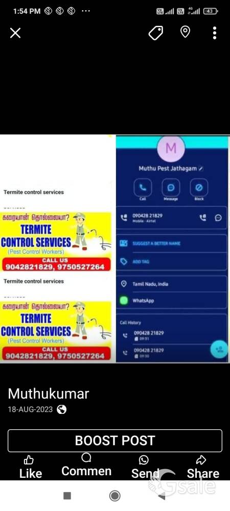 கரையான் தொல்லைக்கு தீர்வு