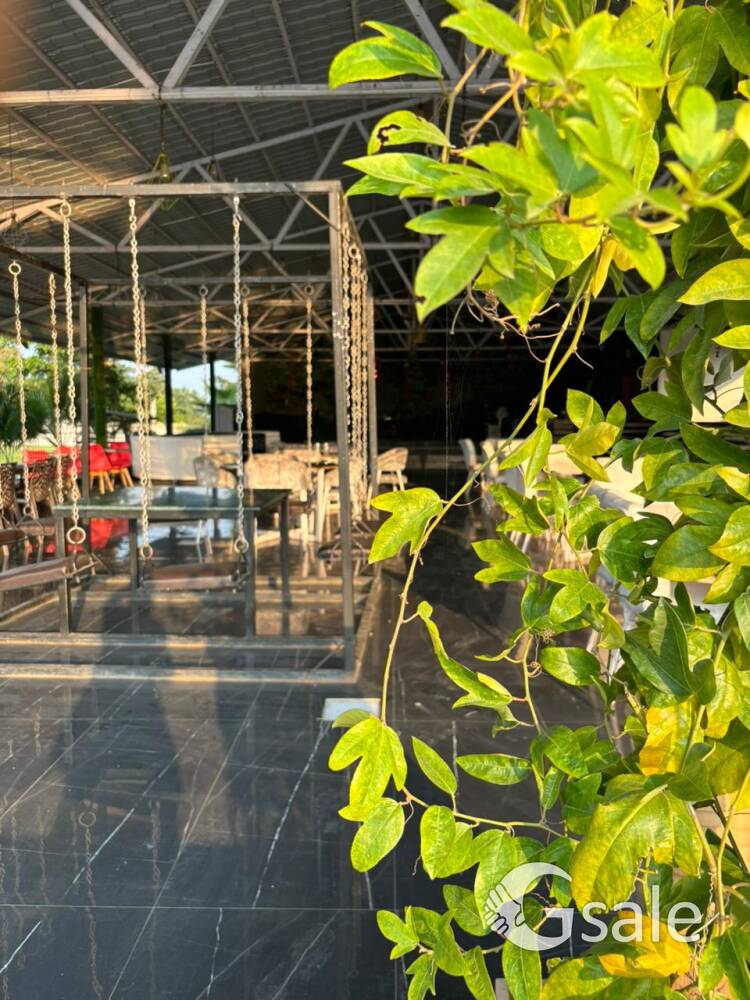 🌳 HILL VIEW RESORT 🌳