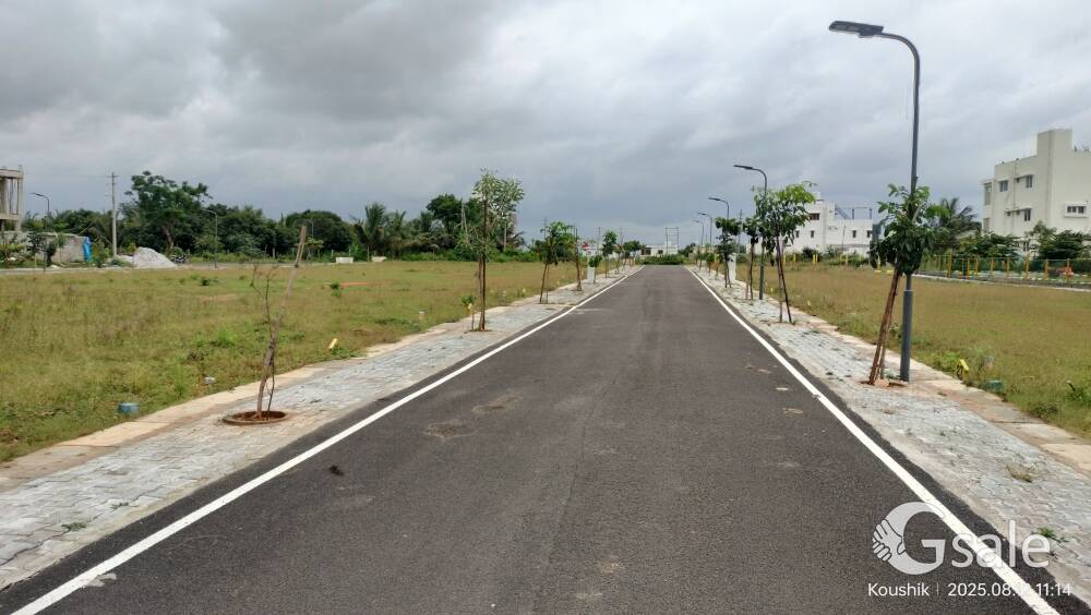 SKN Property 