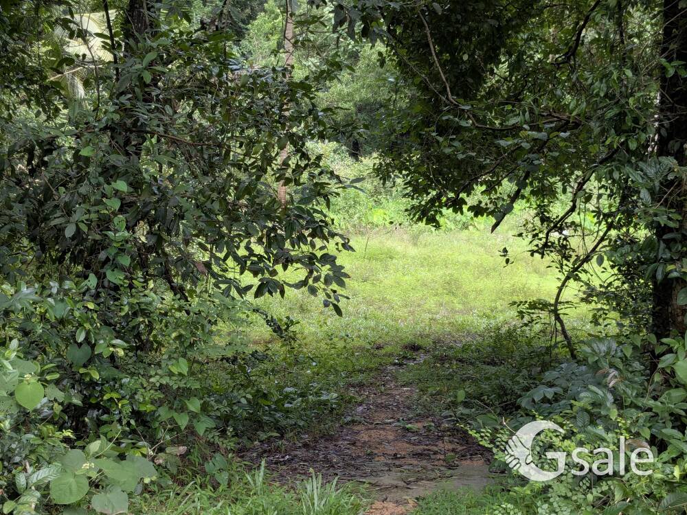 Land for sale 