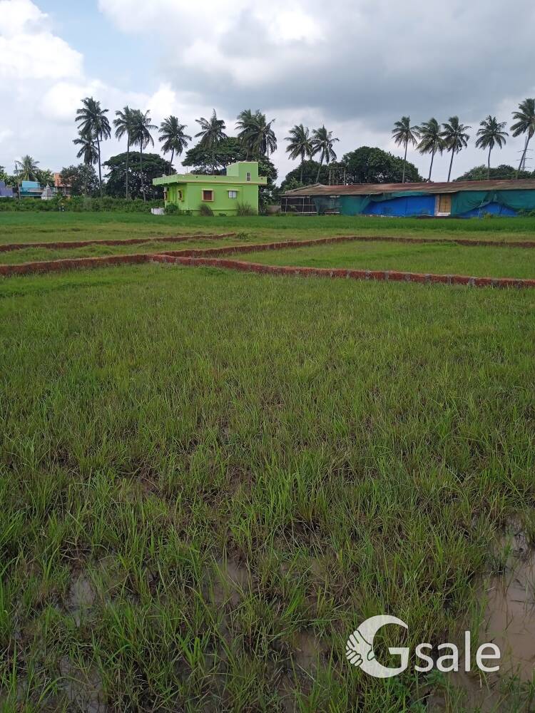  plot for sale in vingarapur, Bhubaneswar.