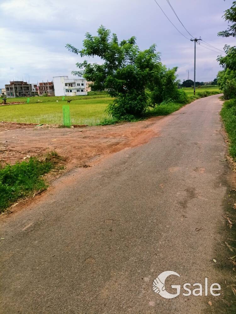 sum 2 medical phullnakhara antapur ,30 feet road gharbari rera apruval 